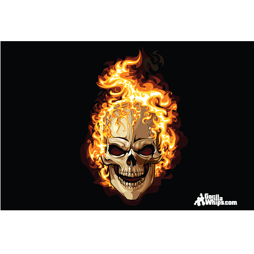 Flames Skull 12x18 Pocket Whip Flag For 1/4" & 5/16" Whips