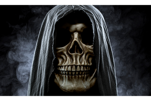 Robe Skull 12x18 Pocket Whip Flag For 1/4" & 5/16" Whips
