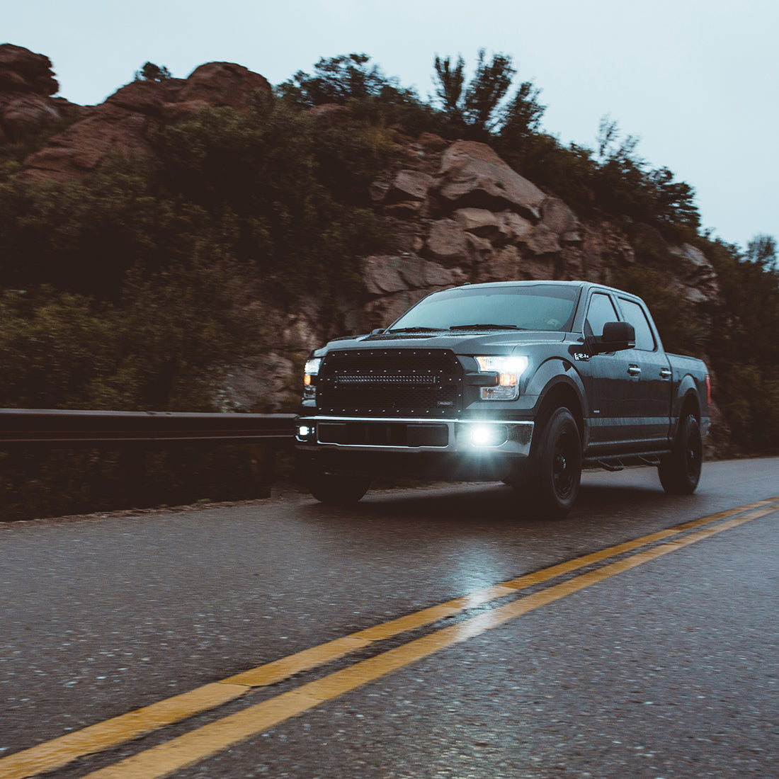 Rigid Industries SAE Fog Light Pair D-Series Pro