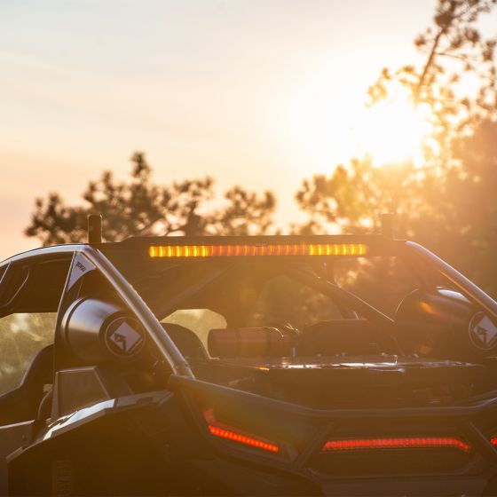 Tail & Chase Lights
