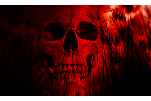 Red Skull 2x3 Grommet Whip Flag