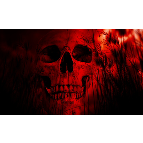 Red Skull 12x18 Pocket Whip Flag For 1/4" & 5/16" Whips