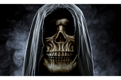 Robe Skull 12x18 Pocket Whip Flag For 1/4" & 5/16" Whips