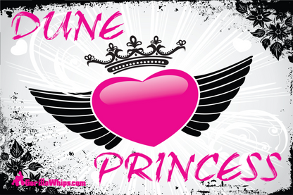 Dune Princess 2x3 Grommet Whip Flag