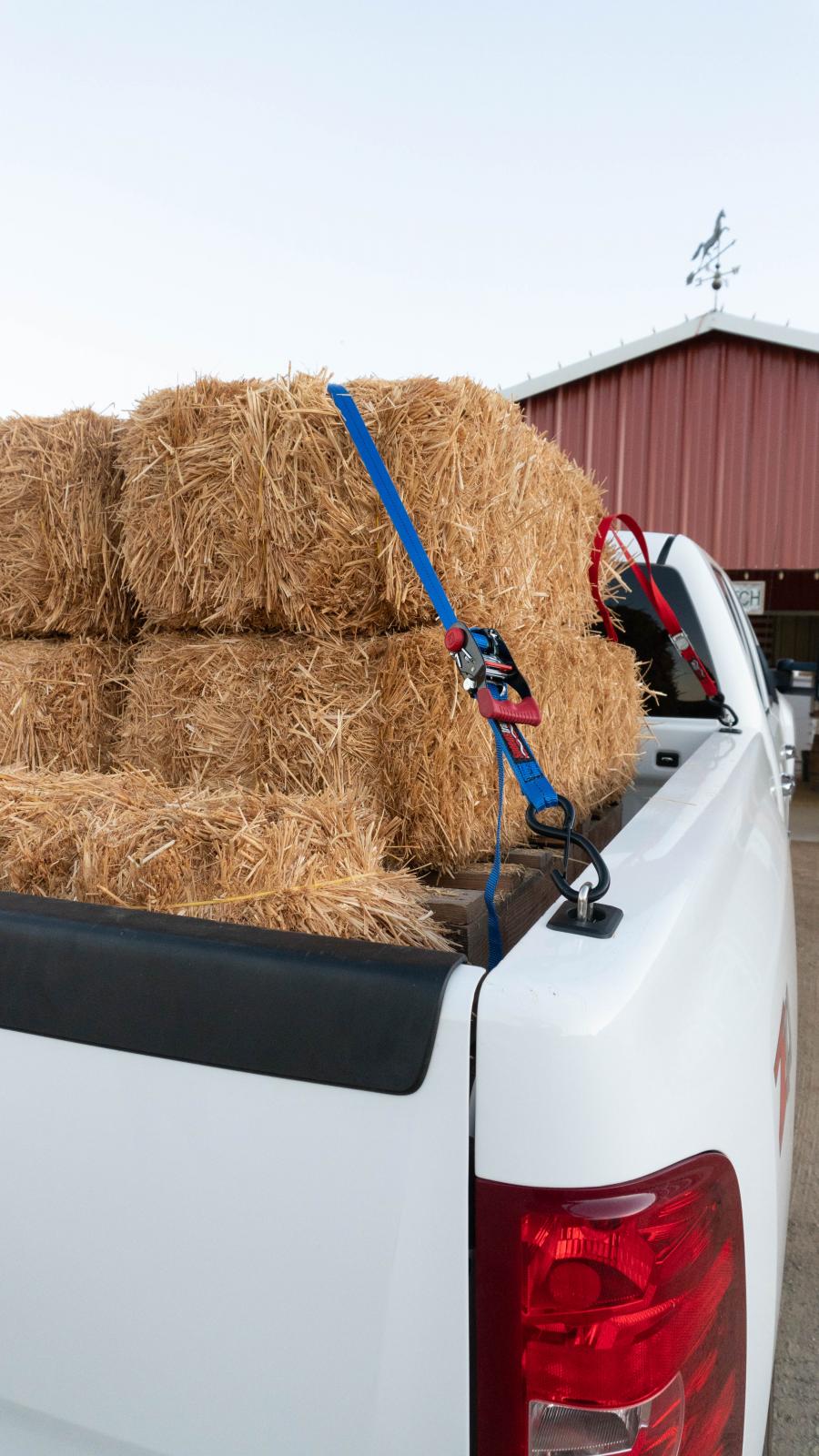 Raised Fit Retractable Tie-Down Anchors '98-14 Ford F150 and '98-16 Ford F-250/F-350 Super Duty '99-13 Silverado/Sierra 1500/2500/3500 95+ Dodge RAM 1500/2500/3500 Dually Bullring