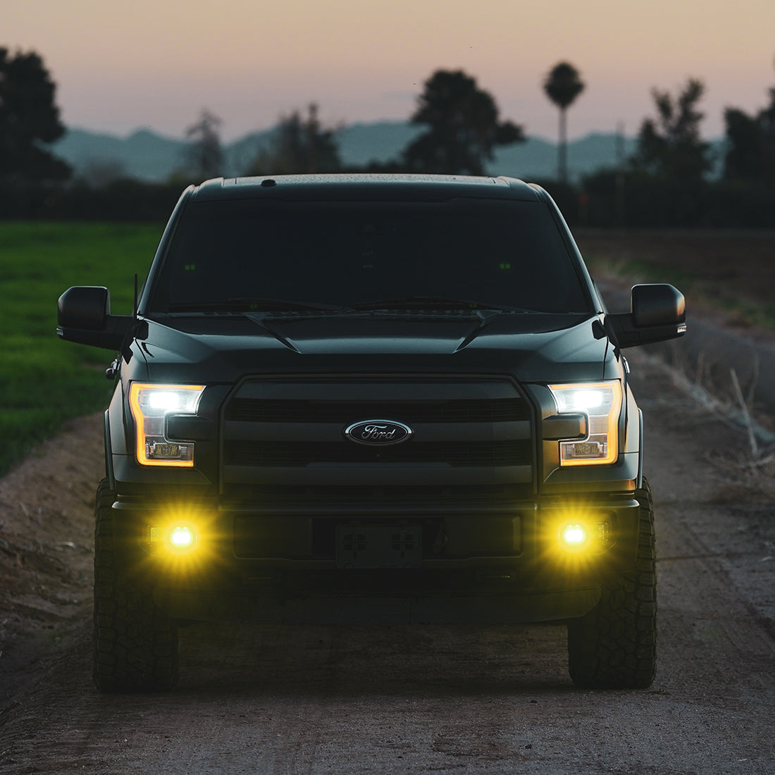 Rigid Industries D-Series SAE Fog Yellow/ Pair