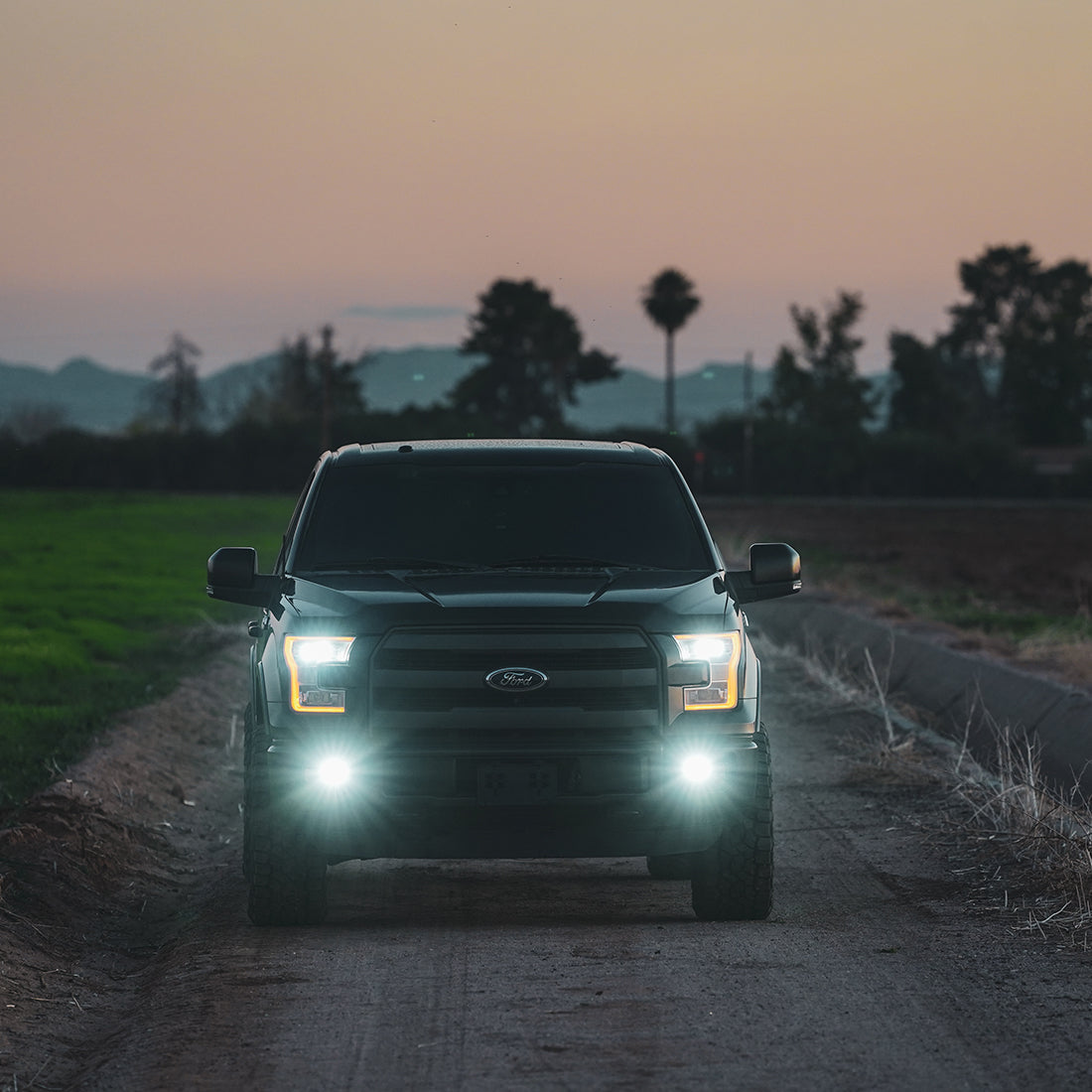 Rigid Industries D-Series SAE Fog Yellow/ Pair