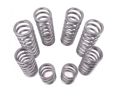 Shock Therapy Dual Rate Spring Kit (DRS) for Polaris RZR Turbo R