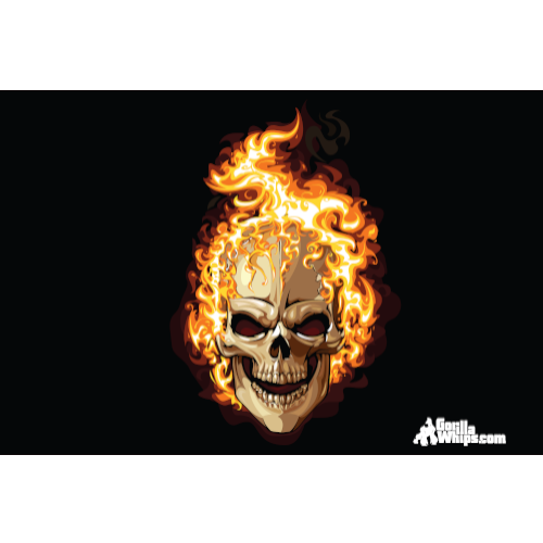 Flames Skull Flag 12x18 Grommet Whip Flag