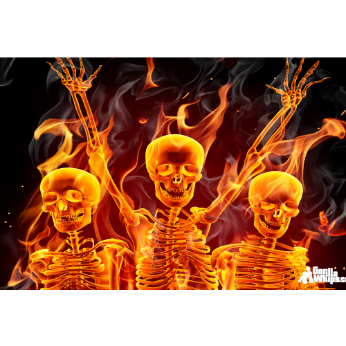 Party Skulls 2x3 Grommet Whip Flag