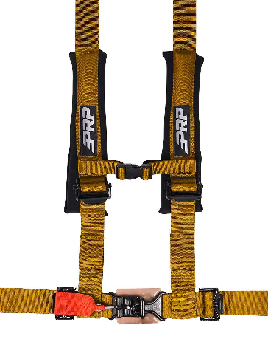 4.2 Harness with Latch and Link Lap Belt Gold
