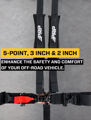 5.3x2 Harness with Removable Pads on Shoulder Pull Up Lap Belts