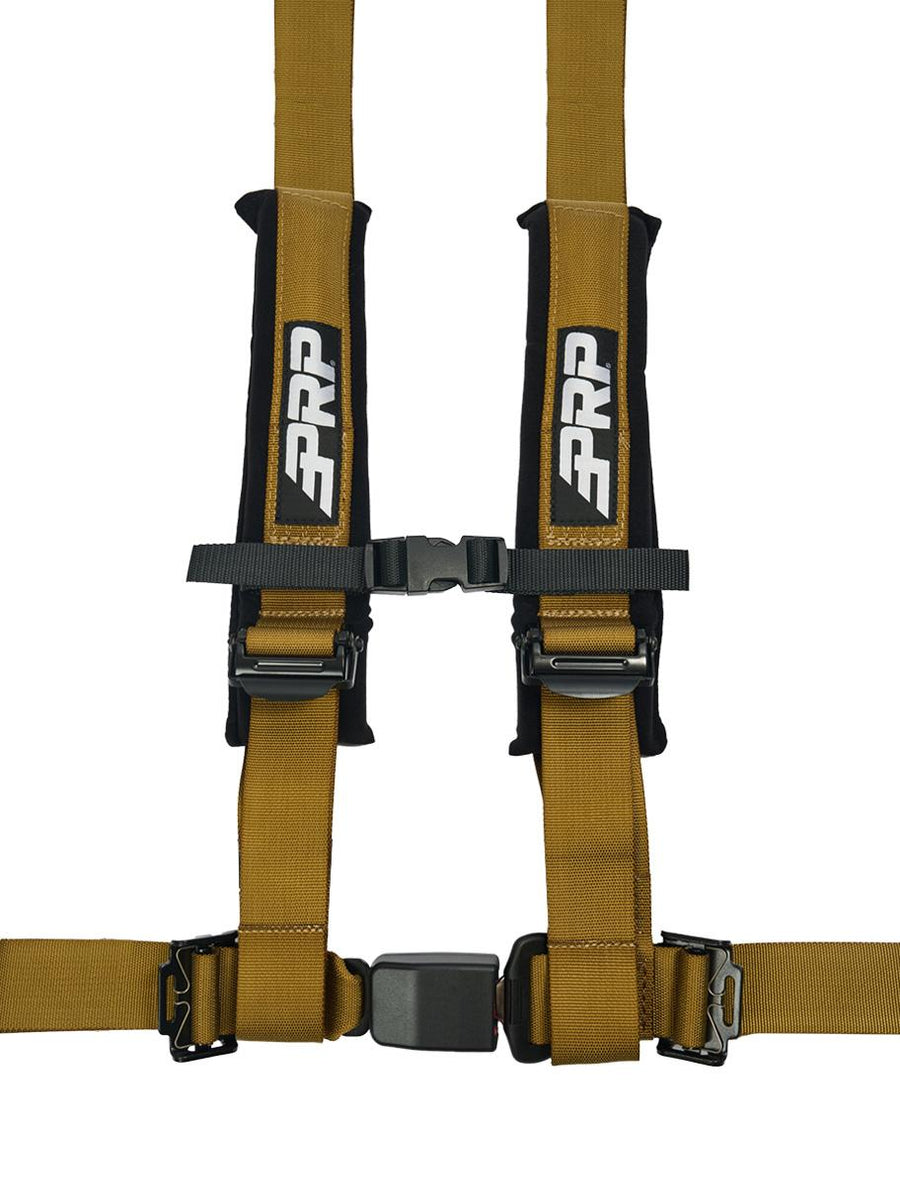 4.2 Harness Gold