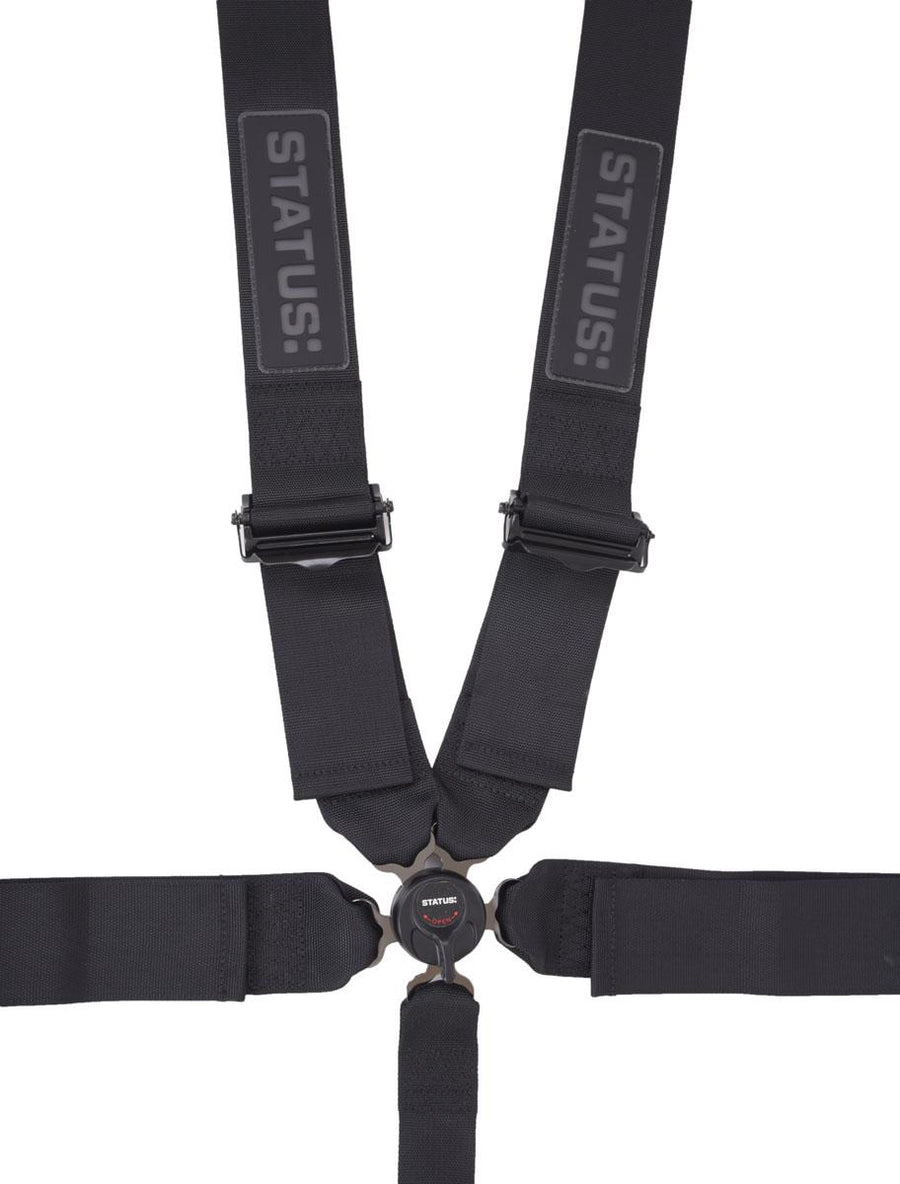5 Point Camlock Harness