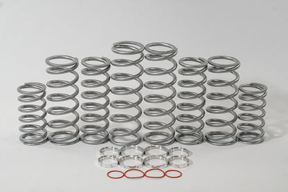 Shock Therapy Ride Improvement System "RIS" for RZR XP 1000