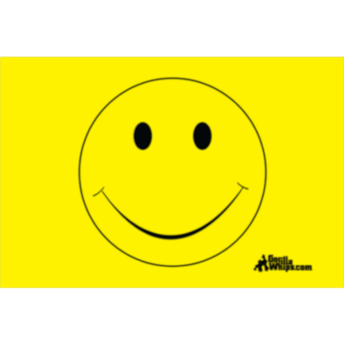 Yellow Smiley Face 2x3 Grommet Whip Flag