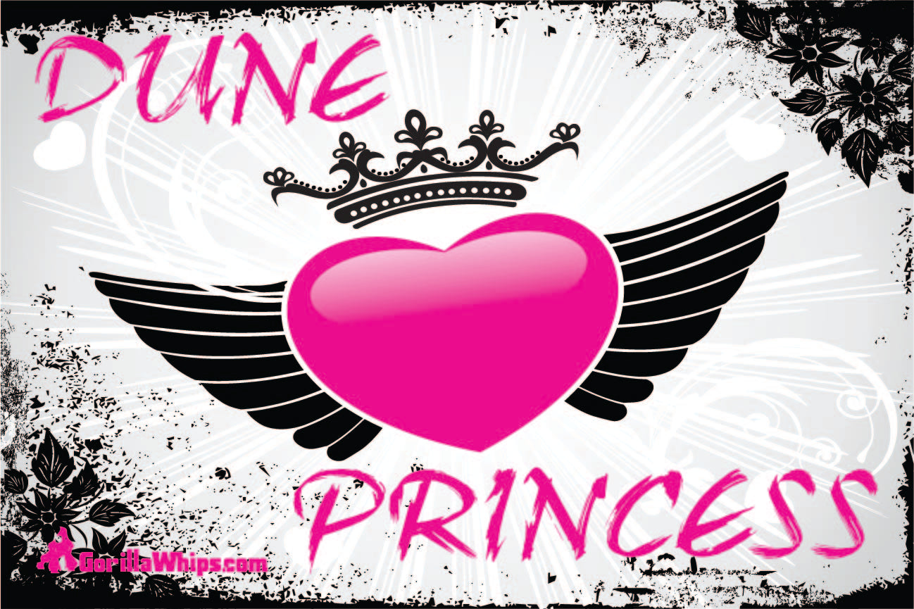 Dune Princess 2x3 Grommet Whip Flag