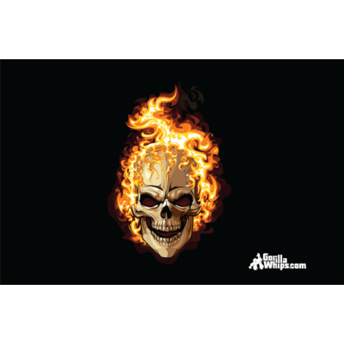Flames Skull 3x5 Grommet Whip Flag