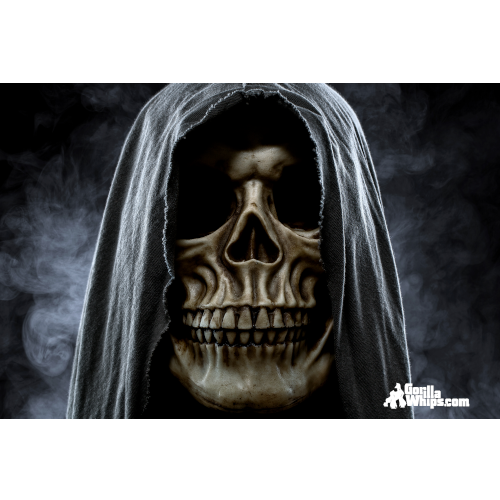 Robe Skull Flag 12x18 Grommet Whip Flag