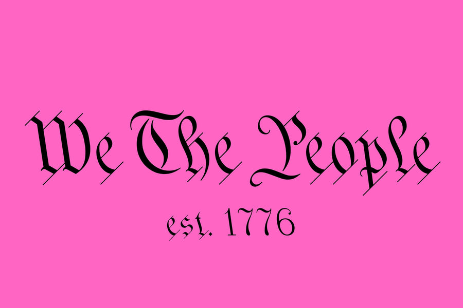 We The People Pink Flag USA 12x18 Grommet Whip Flag World's Most Durable Whip Flag